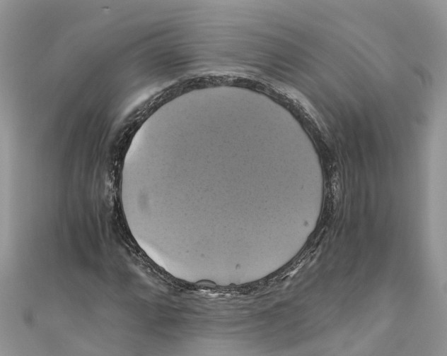 X0000110991064200907171747