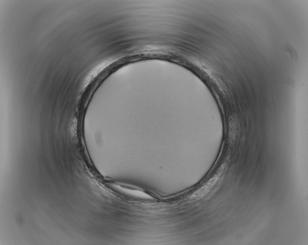 X0000110991066200907171747