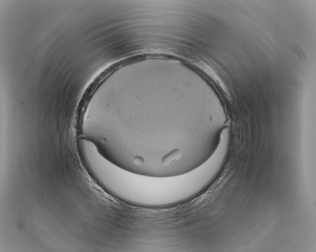 X0000110991068200907171747
