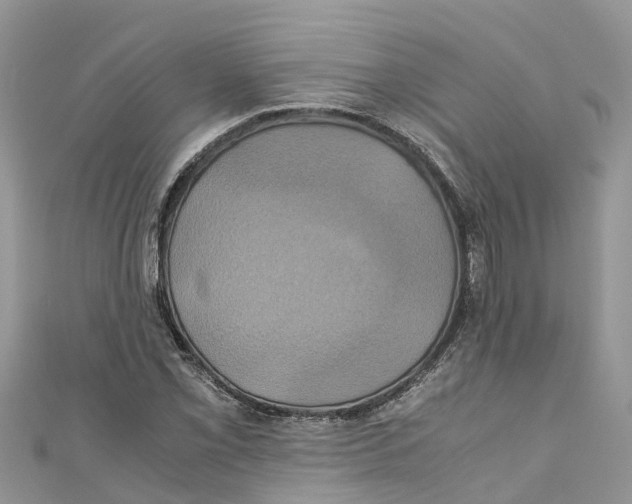 X0000110991069200907171747