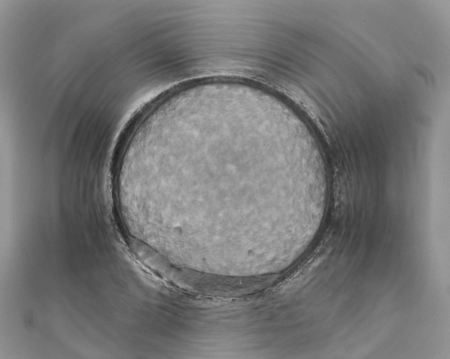 X0000110991072200907171747