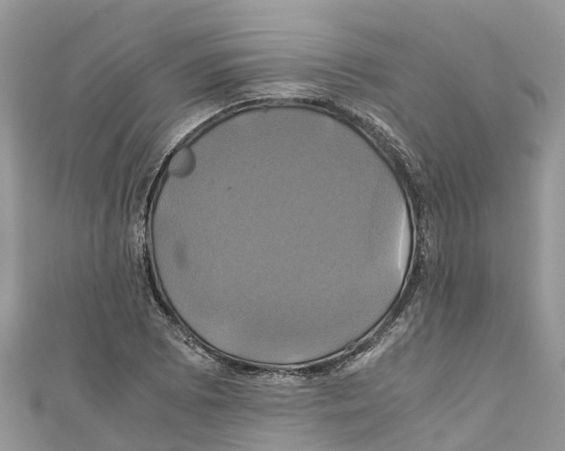 X0000110991073200907171747
