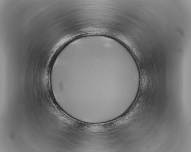 X0000110991074200907171747
