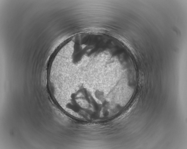 X0000110991075200907171747