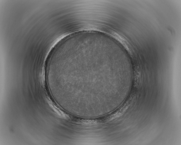 X0000110991076200907171747