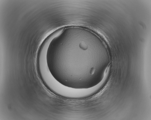 X0000110991077200907171747