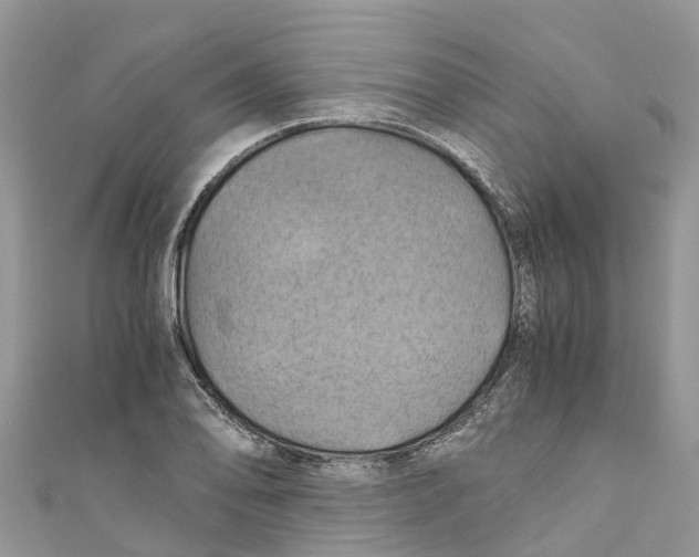 X0000110991078200907171747