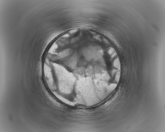 X0000110991079200907171747