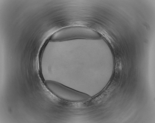 X0000110991080200907171747
