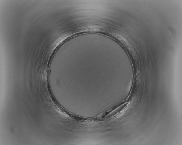 X0000110991081200907171747