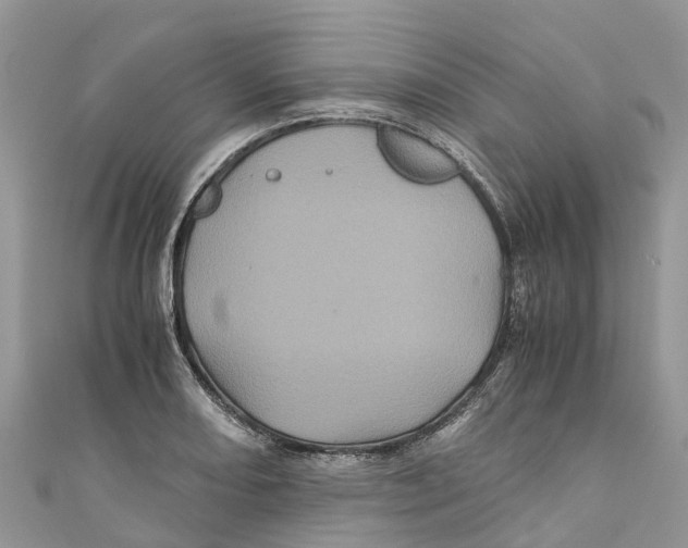 X0000110991082200907171747