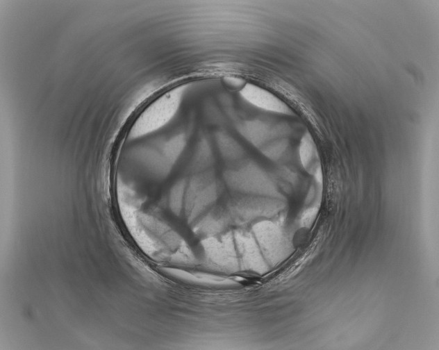 X0000110991083200907171747