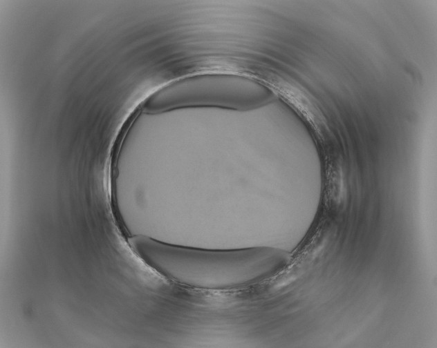 X0000110991084200907171747