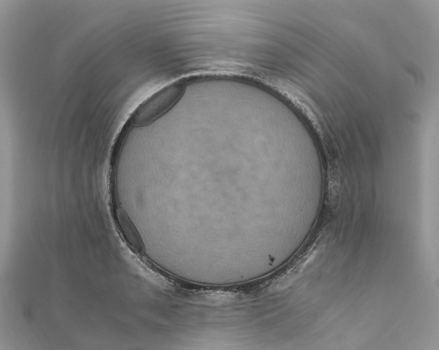 X0000110991085200907171747