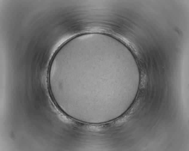 X0000110991086200907171747