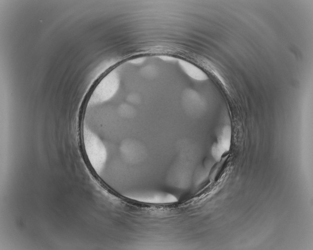 X0000110991087200907171747