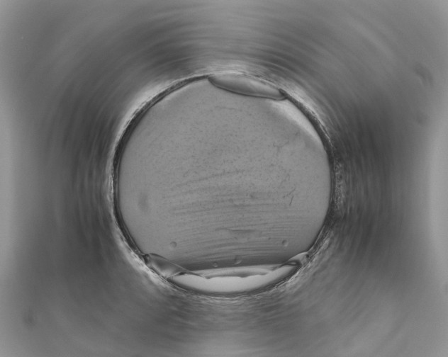 X0000110991088200907171747