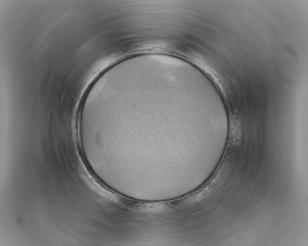 X0000110991090200907171747