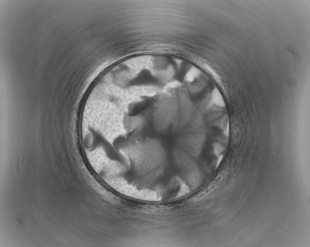 X0000110991091200907171747