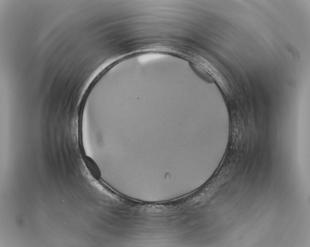 X0000110991092200907171747
