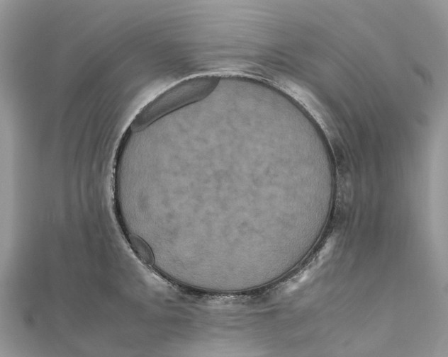 X0000110991093200907171747