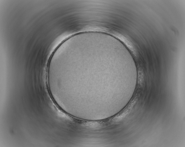 X0000110991094200907171747