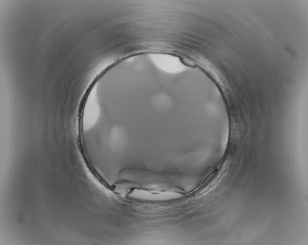 X0000110991095200907171747