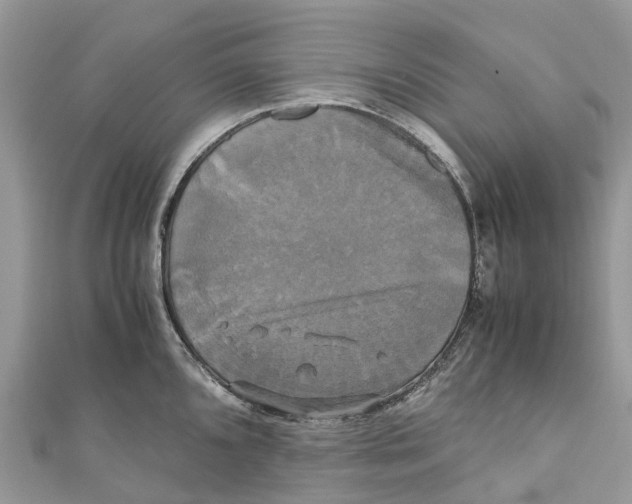 X0000110991096200907171747