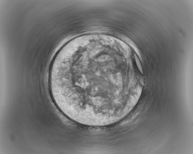 X0000110991099200907171747