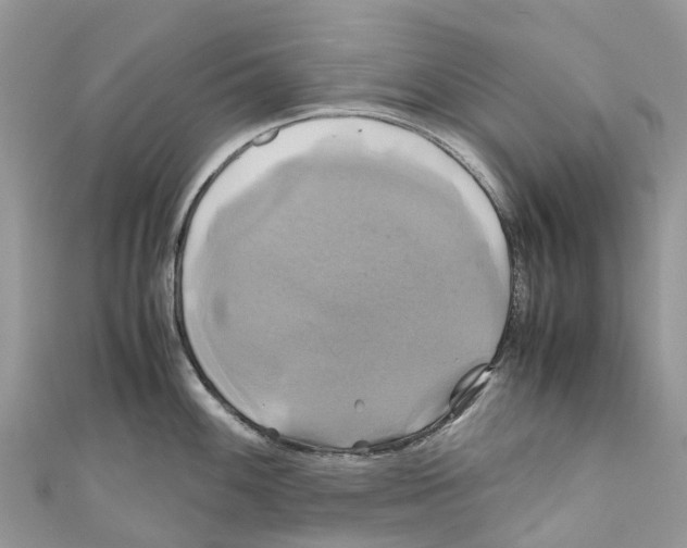 X0000110991100200907171747