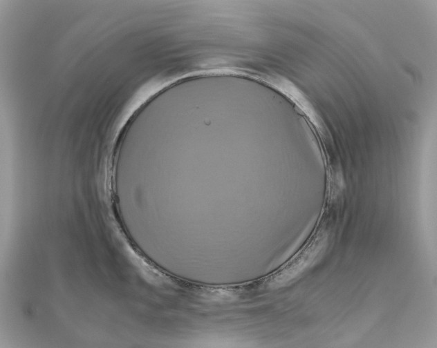 X0000110991101200907171747