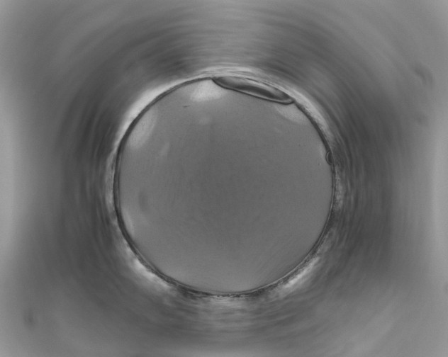 X0000110991102200907171747