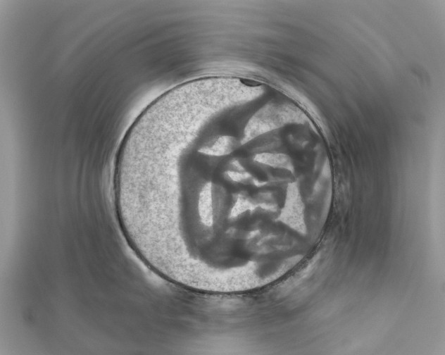 X0000110991103200907171747