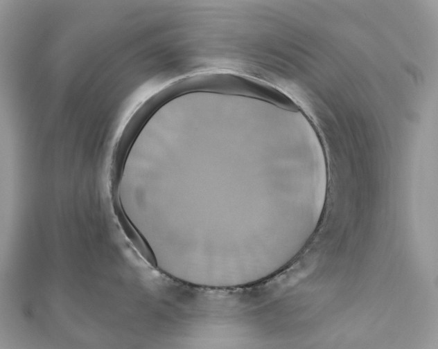 X0000110991104200907171747