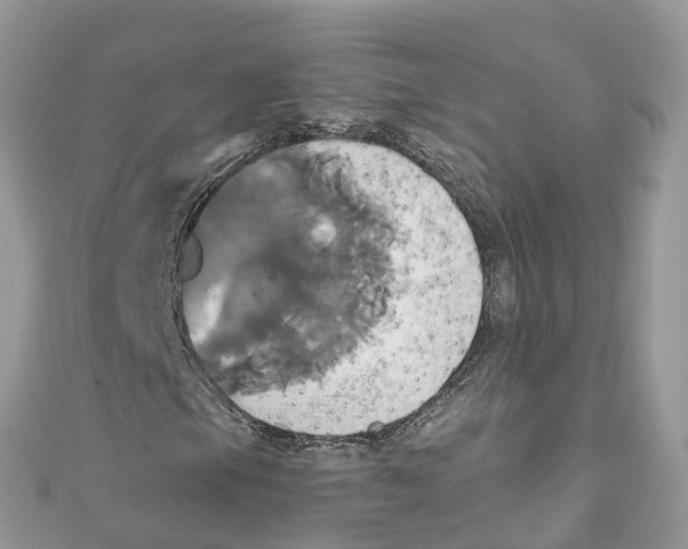 X0000110991105200907171746