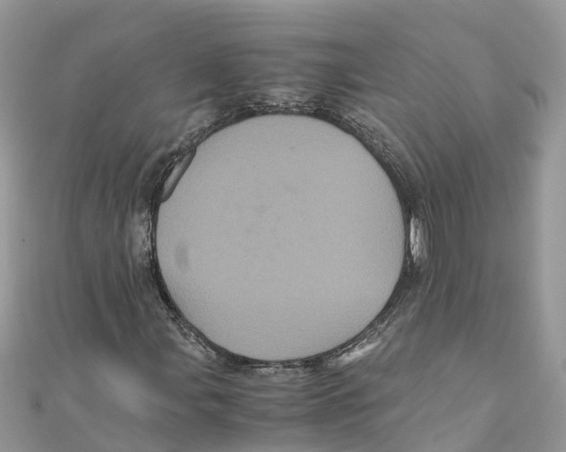 X0000110991107200907171746