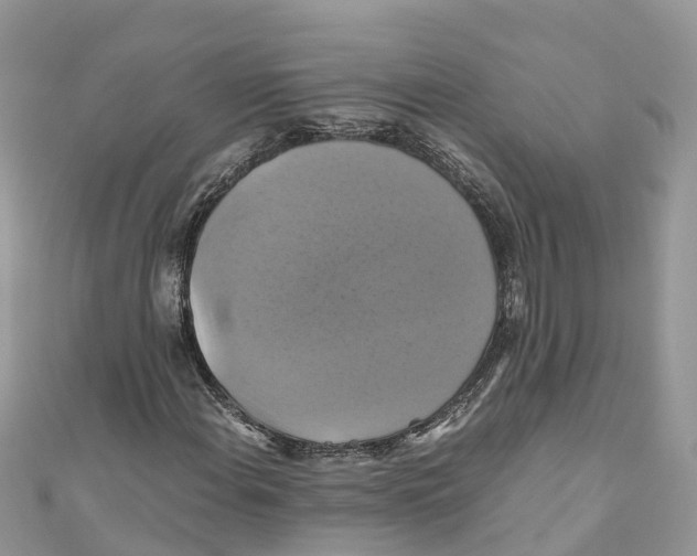 X0000110991108200907171746