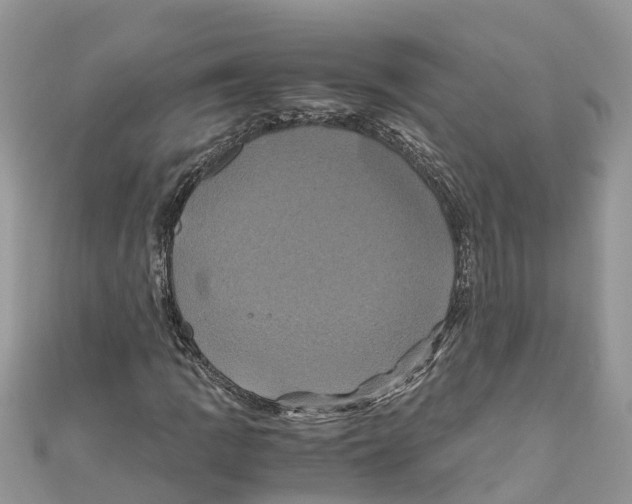 X0000110991109200907171746
