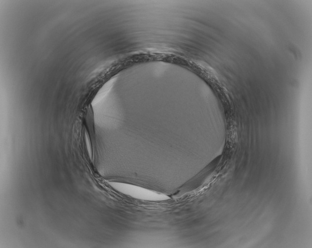 X0000110991110200907171746