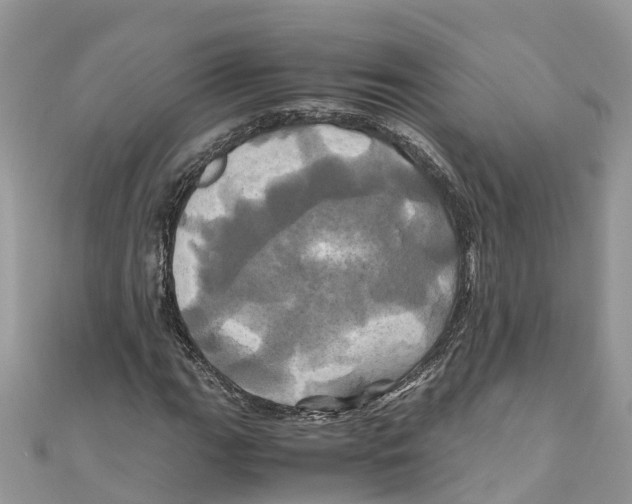 X0000110991111200907171746