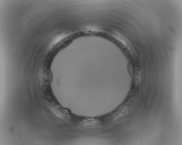 X0000110991112200907171746
