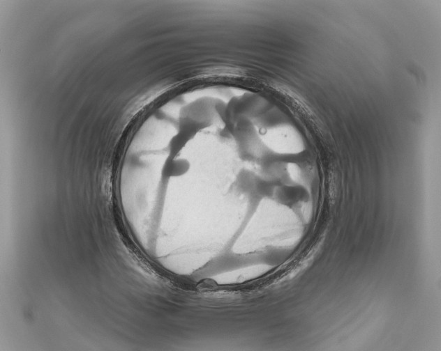 X0000110991113200907171746