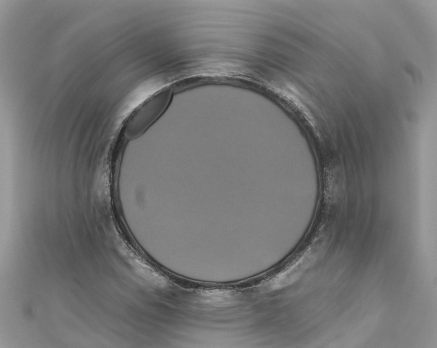 X0000110991114200907171746
