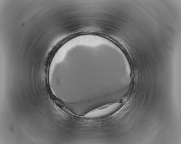 X0000110991115200907171746
