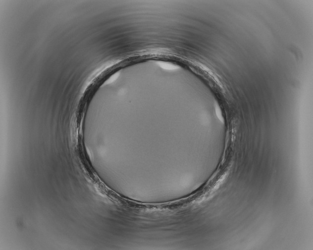 X0000110991117200907171746