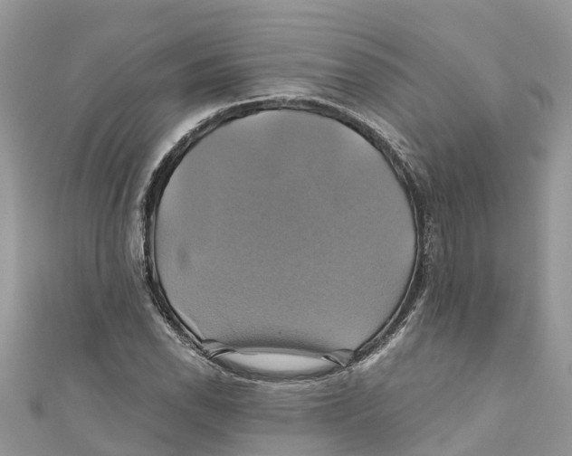 X0000110991118200907171746