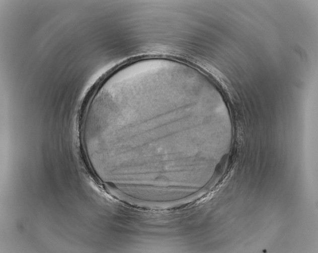 X0000110991120200907171746