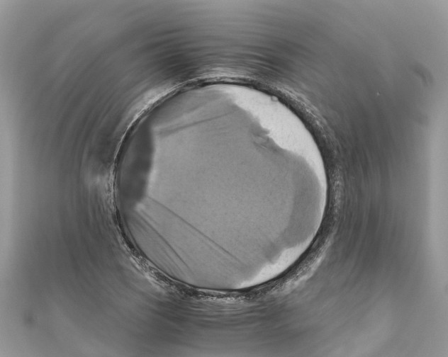 X0000110991121200907171746