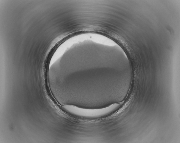 X0000110991122200907171746