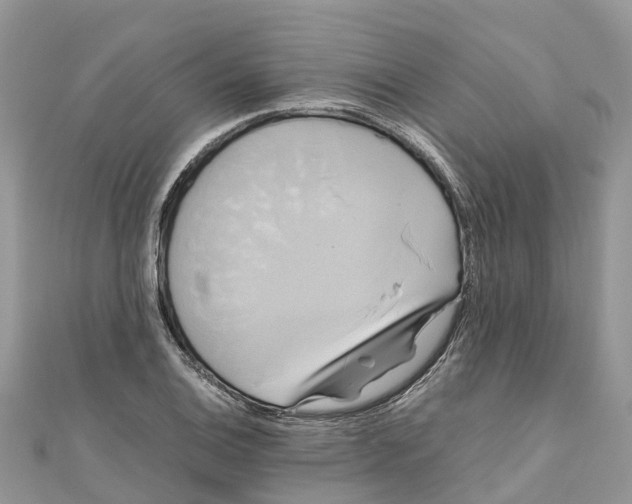 X0000110991124200907171746